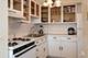 3001 S Michigan Unit 2406, Chicago, IL 60616
