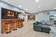 343 Arbor Glen, Schaumburg, IL 60195