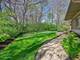 13001 Ravine, Lemont, IL 60439