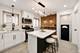 2905 W 102nd, Chicago, IL 60655