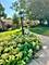550 E Main Unit 2E, Barrington, IL 60010