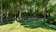 195 Maple Hill, Glencoe, IL 60022