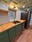 3233 W Cortez Unit GDN, Chicago, IL 60651