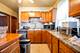 1533 N Menard, Chicago, IL 60651