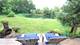 83 Wildwood, Barrington, IL 60010
