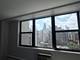 1445 N State Unit 1604, Chicago, IL 60610