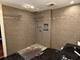 1717 W Crystal Unit 712, Mount Prospect, IL 60056