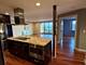 1717 W Crystal Unit 712, Mount Prospect, IL 60056
