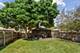 10250 S Turner, Evergreen Park, IL 60805