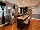 9101 S Racine, Chicago, IL 60620
