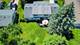 680 Indian Spring, Buffalo Grove, IL 60089
