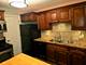 349 Newgate Unit C1, Schaumburg, IL 60193