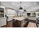 1844 W Barry, Chicago, IL 60657