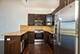 2545 S Dearborn Unit 530, Chicago, IL 60616