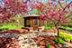 37 Park, Yorkville, IL 60560