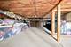 7028 N Oriole, Chicago, IL 60631