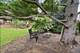 669 Tamarisk, Crystal Lake, IL 60014