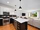 929 N Damen Unit 2, Chicago, IL 60622