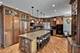9508 Natoma, Oak Lawn, IL 60453