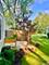 215 Chasse, St. Charles, IL 60174