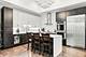 2029 W George, Chicago, IL 60618