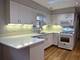 449 W 37th Unit 2, Chicago, IL 60609