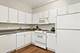 811 S Lytle Unit 415, Chicago, IL 60607