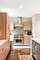 1747 N Winnebago, Chicago, IL 60647