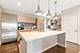 1747 N Winnebago, Chicago, IL 60647