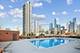 400 N Clinton Unit 207, Chicago, IL 60654