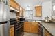 427 S Elmwood Unit 2, Oak Park, IL 60302