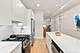 435 E 46th, Chicago, IL 60653