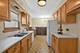 10042 Lamon, Skokie, IL 60077
