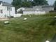 943 S Charlotte, Lombard, IL 60148