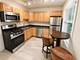 519 Hamilton Unit 2W, Evanston, IL 60202
