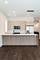 406 E 50th Unit 3, Chicago, IL 60615