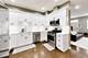 1733 W Crystal Unit B, Chicago, IL 60622