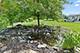 11936 Tuliptree, Huntley, IL 60142