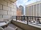 118 E Erie Unit 16B, Chicago, IL 60611