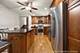 420 Pierce, Roselle, IL 60172