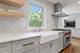 6 Deer, Lincolnshire, IL 60069