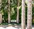 1120 W Wood, Palatine, IL 60067