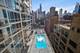 757 N Orleans Unit 1012, Chicago, IL 60654