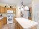 13041 Bull Ridge, Huntley, IL 60142