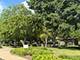 13041 Bull Ridge, Huntley, IL 60142
