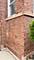 4818 W Fletcher, Chicago, IL 60641