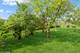 5300 Walnut Unit 20C, Downers Grove, IL 60515