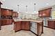 20159 Alison, Mokena, IL 60448