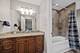 20159 Alison, Mokena, IL 60448