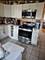 1003 N Hamlin, Chicago, IL 60651